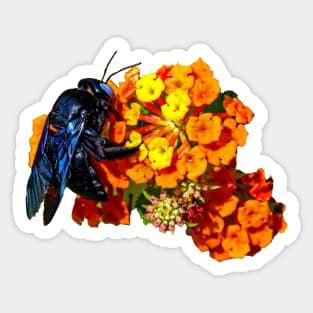 Unusual Blue Bee Sticker